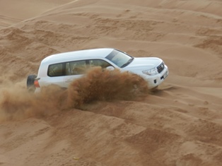 Desert Safari 9.JPG